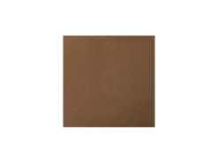 Caygan Throw Pillow In Honey