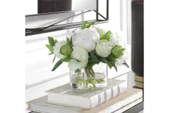 Garden Peony Plant