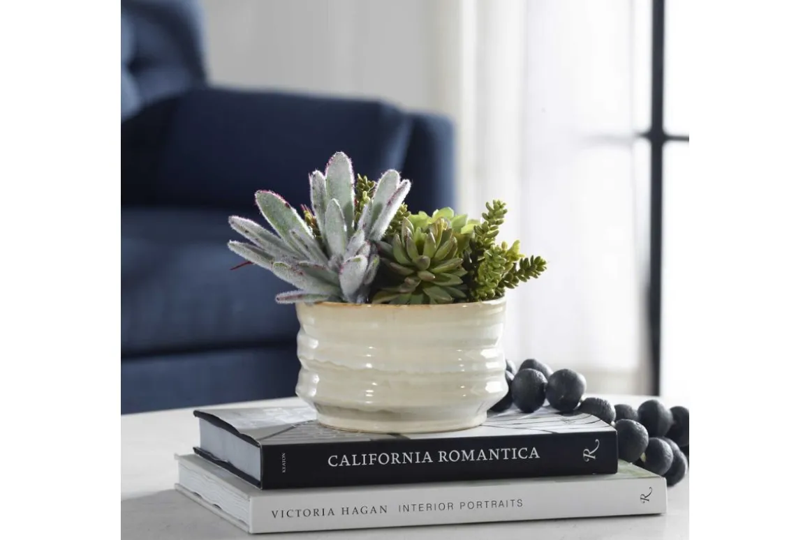 Mesa Succulent