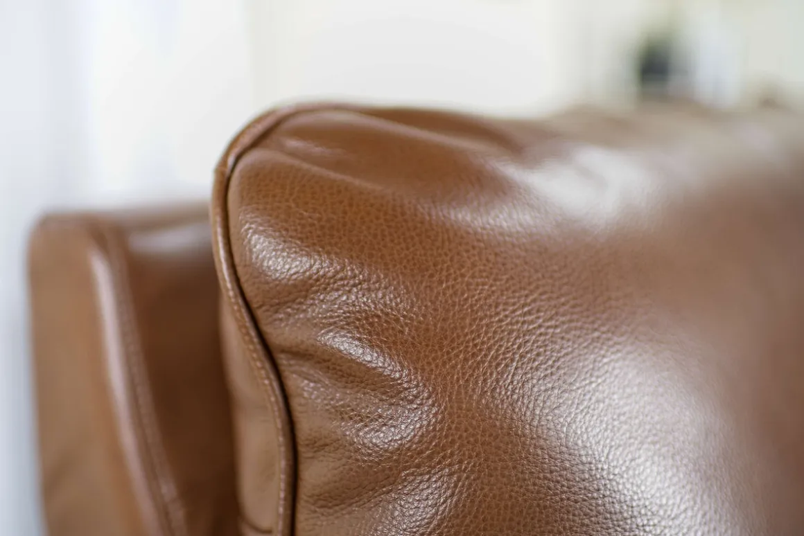 Paradise 2 Power Sofa In Chestnut Leather
