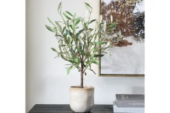 Solea Olive Tree