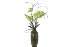 Valdive Orchid